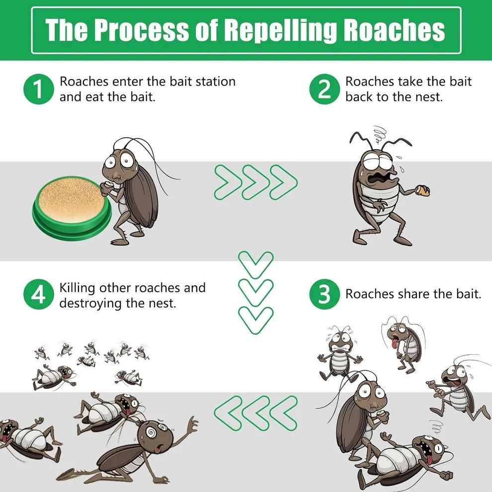 Powerful Cockroach Killer Roach Gel (Buy 1 Get 1 Free )