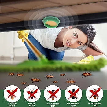 Powerful Cockroach Killer Roach Gel (Buy 1 Get 1 Free )