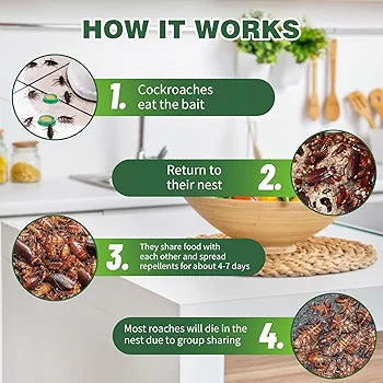 Powerful Cockroach Killer Roach Gel (Buy 1 Get 1 Free )